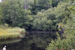 loheland2018 Rotes Moor